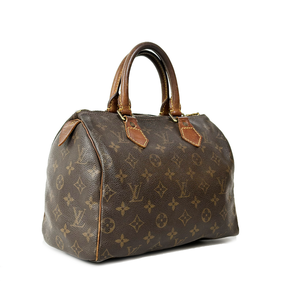 Louis Vuitton Speedy (25)