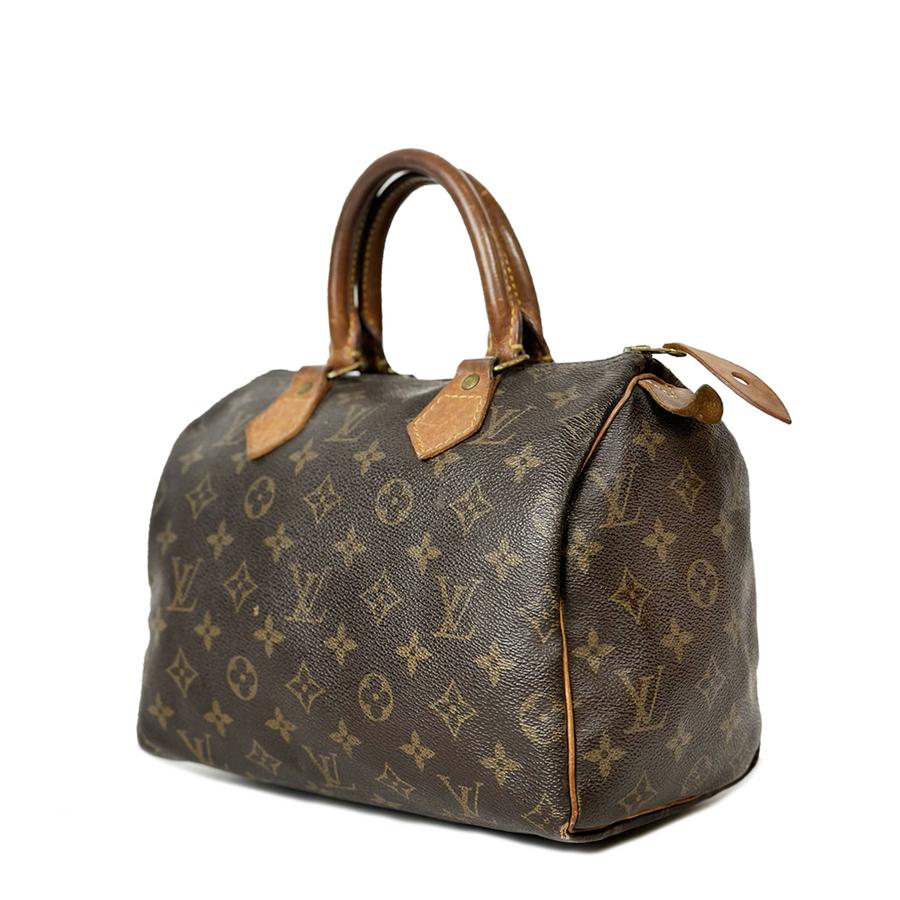 Louis Vuitton Speedy (25)