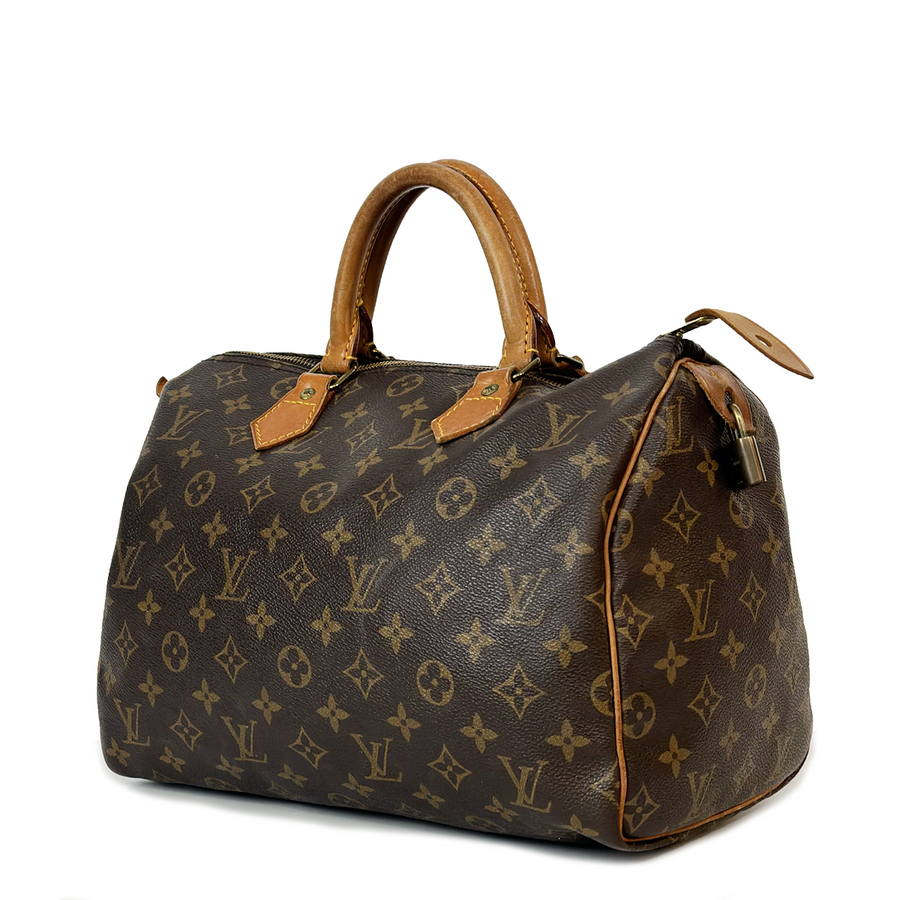 Louis Vuitton Speedy (30)