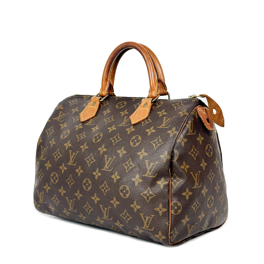 Louis Vuitton Speedy (30)