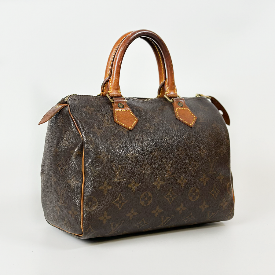 Louis Vuitton Speedy (25)