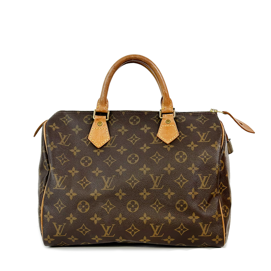 Louis Vuitton Speedy (30)