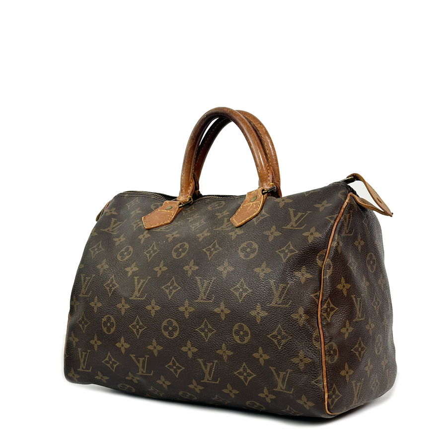 Louis Vuitton Speedy (30)