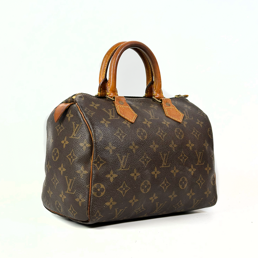 Louis Vuitton Speedy (25)