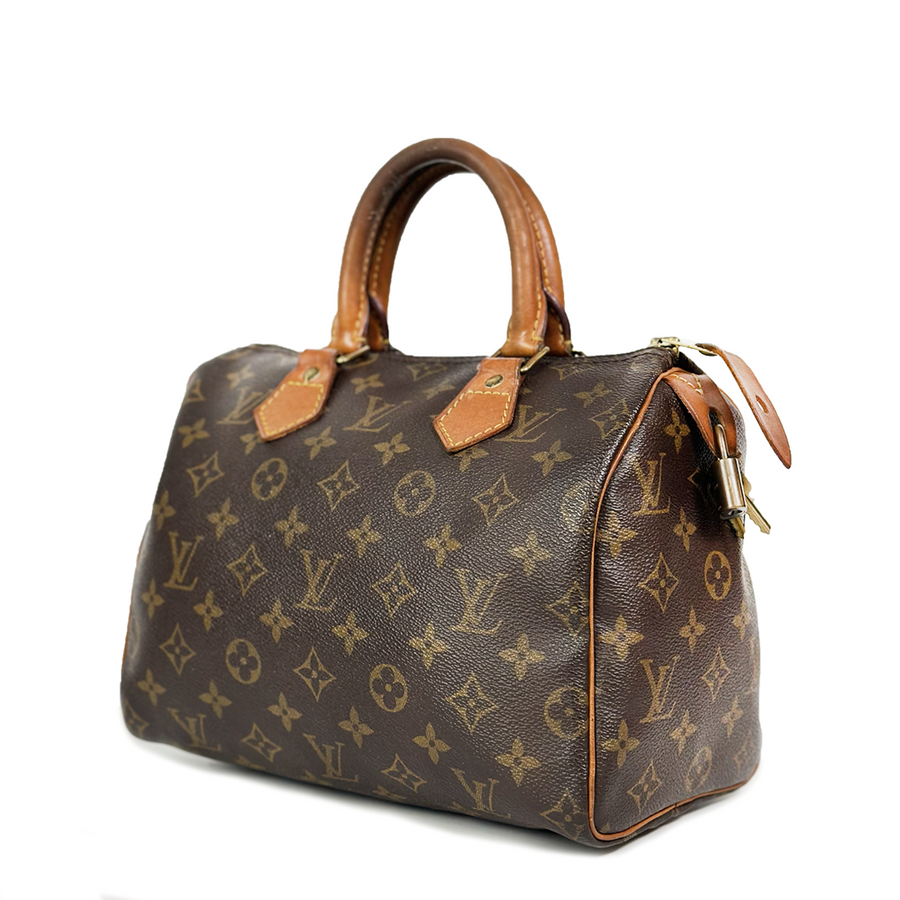 Louis Vuitton Speedy (25)