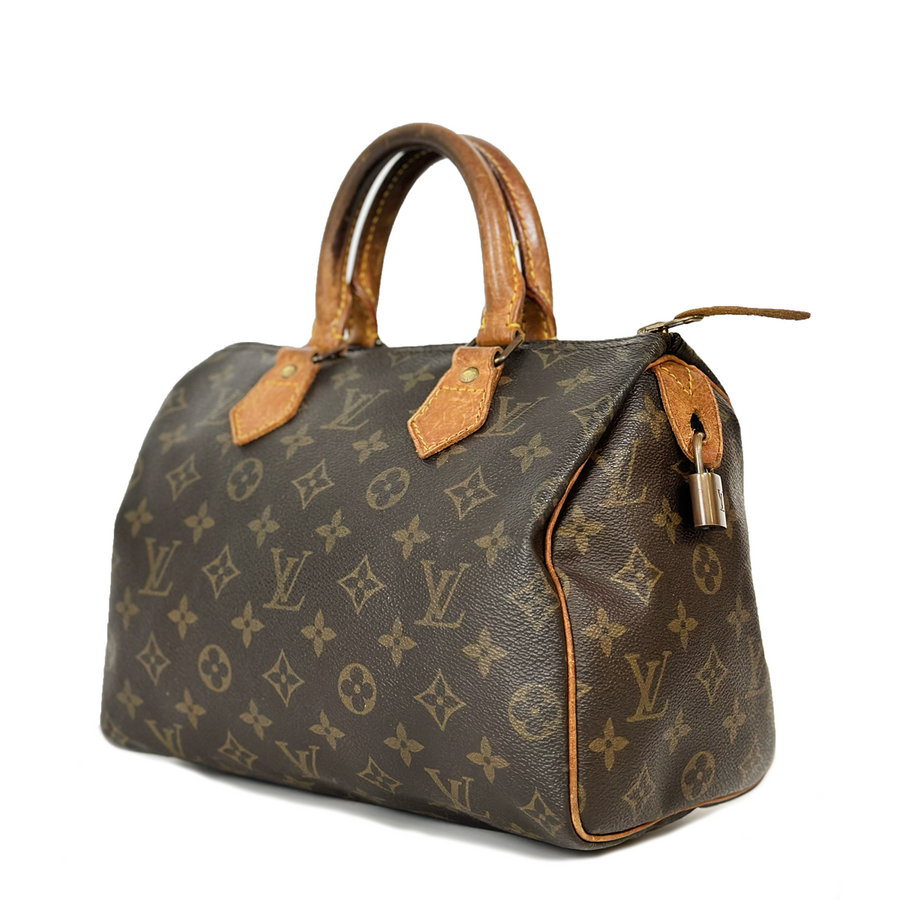 Louis Vuitton Speedy (25)