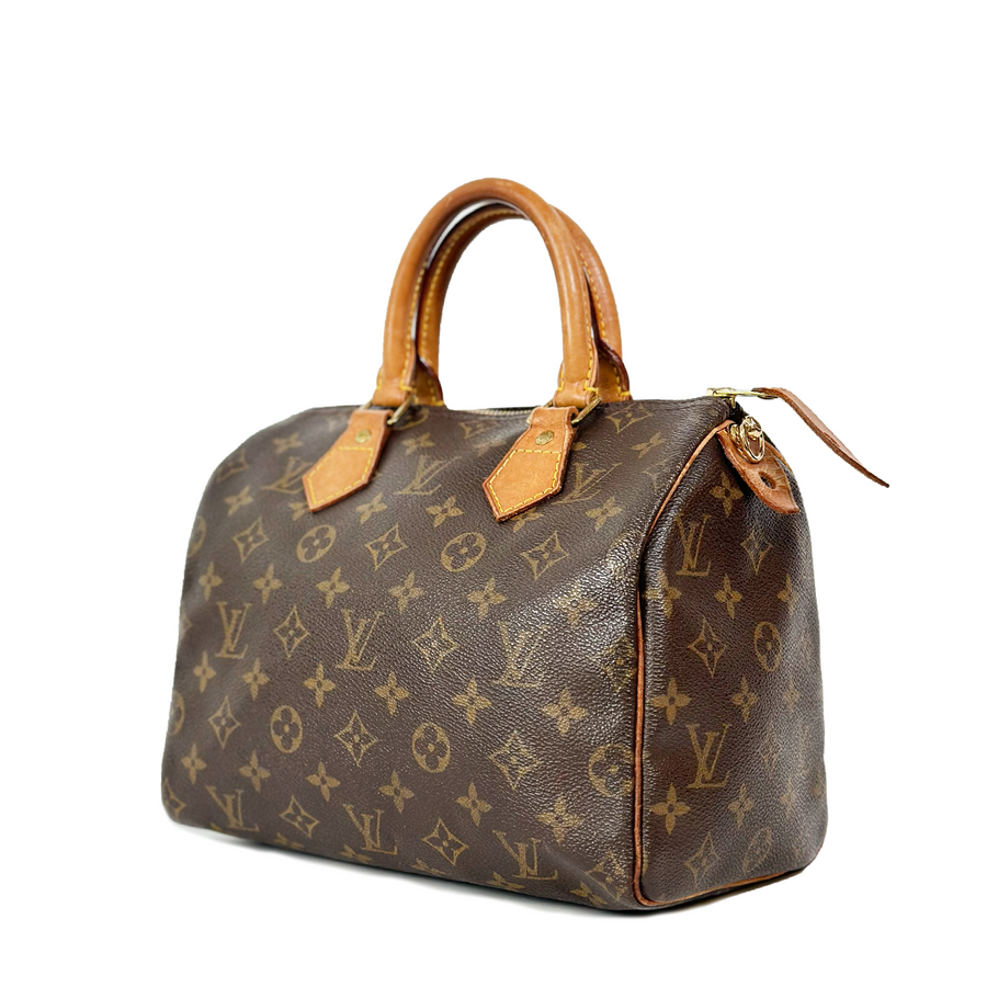 Louis Vuitton Speedy (25)