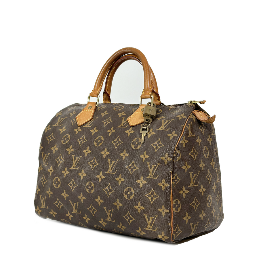 Louis Vuitton Speedy (30)