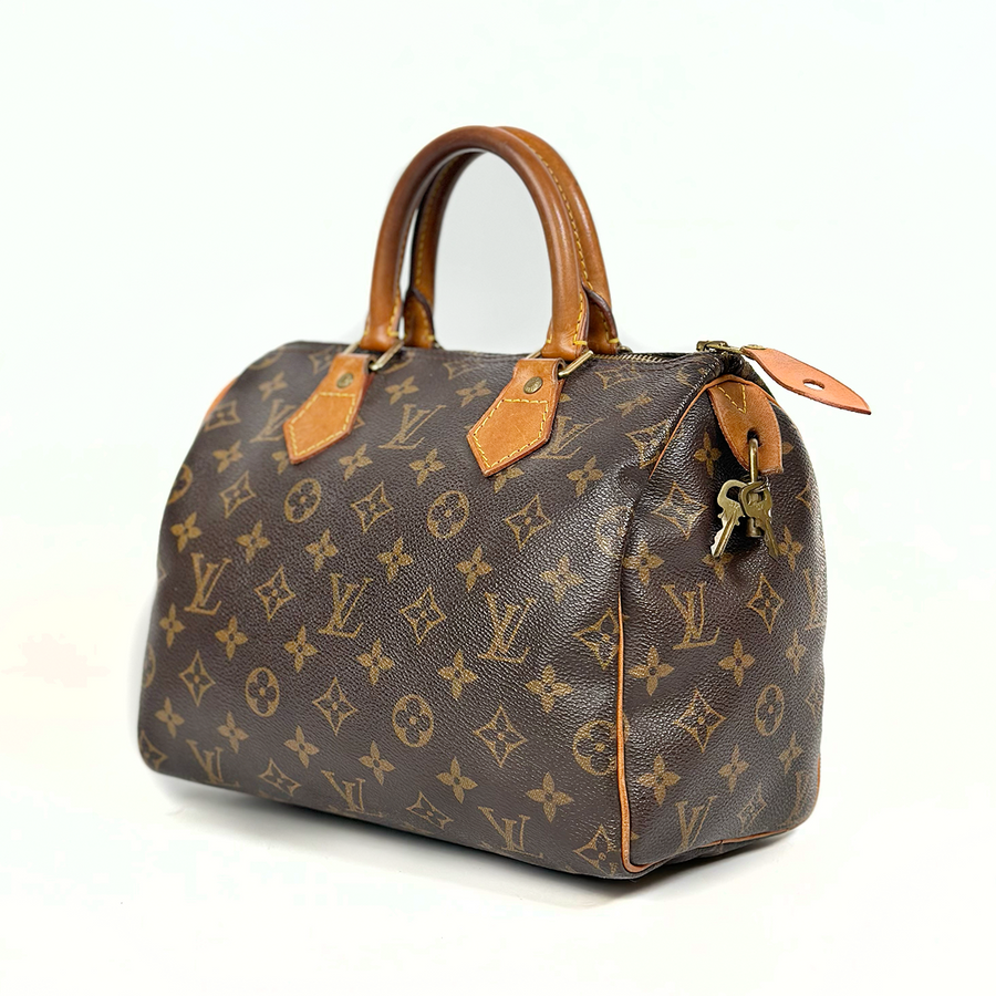 Louis Vuitton Speedy (25)