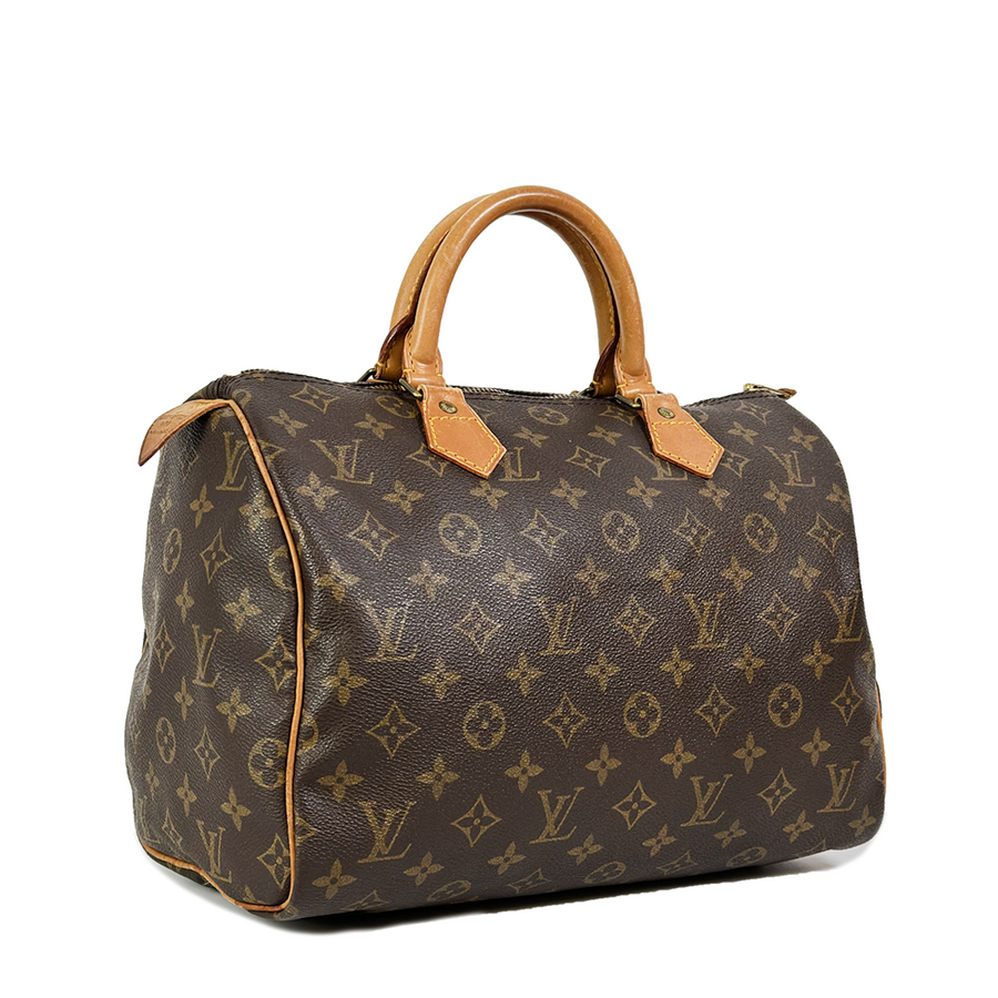 Louis Vuitton Speedy (30)