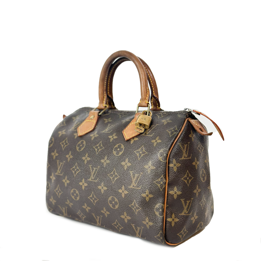 Louis Vuitton Speedy (25)