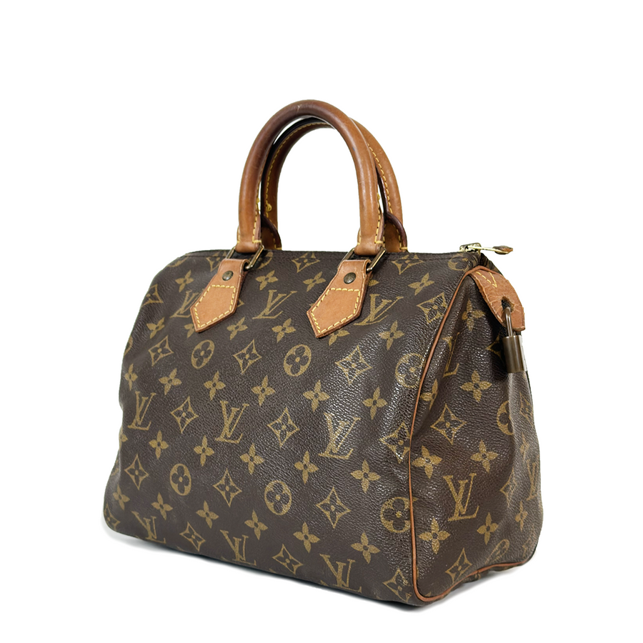 Louis Vuitton Speedy (25)