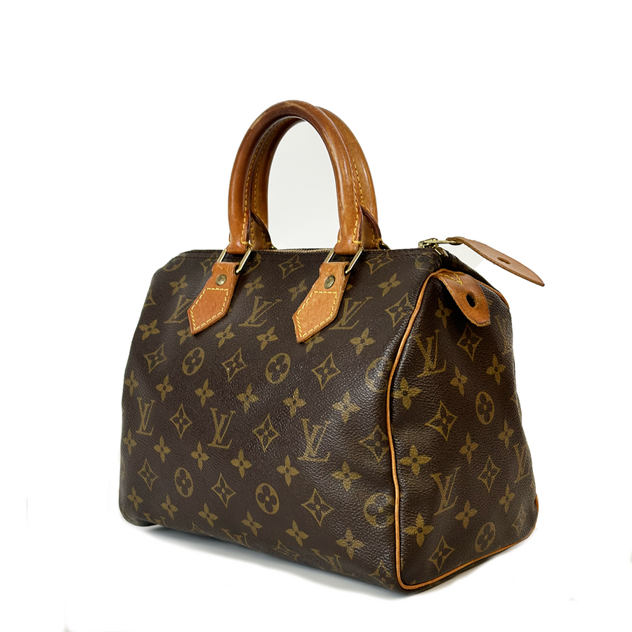 Louis Vuitton Speedy (25)