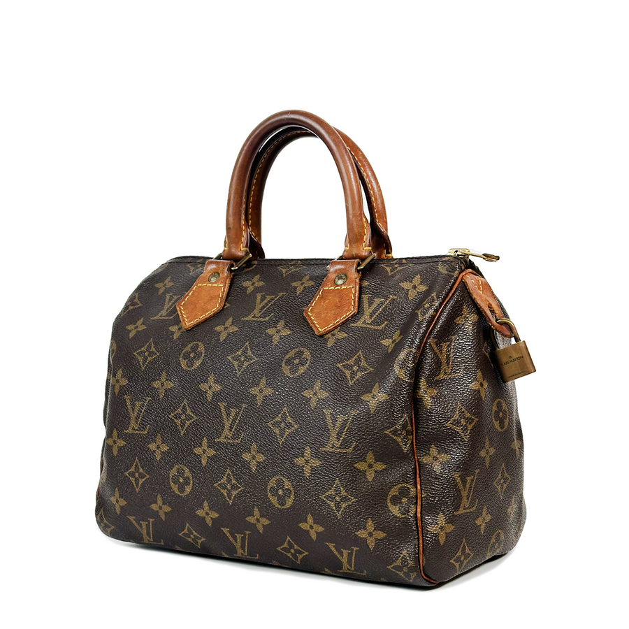 Louis Vuitton Speedy (25)