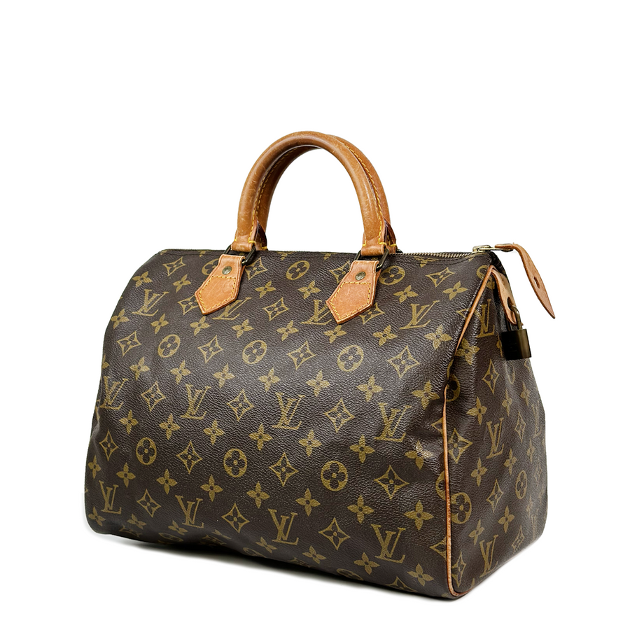 Louis Vuitton Speedy (30)