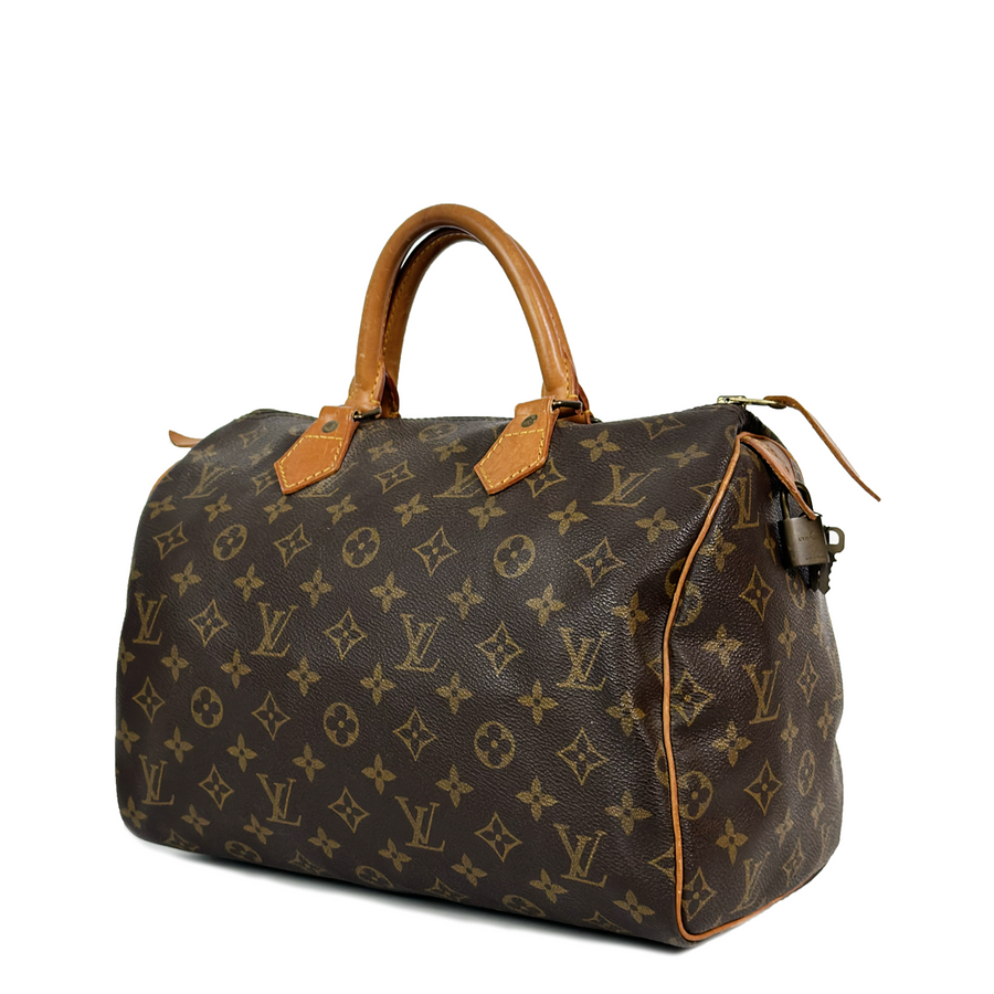 Louis Vuitton Speedy (30)