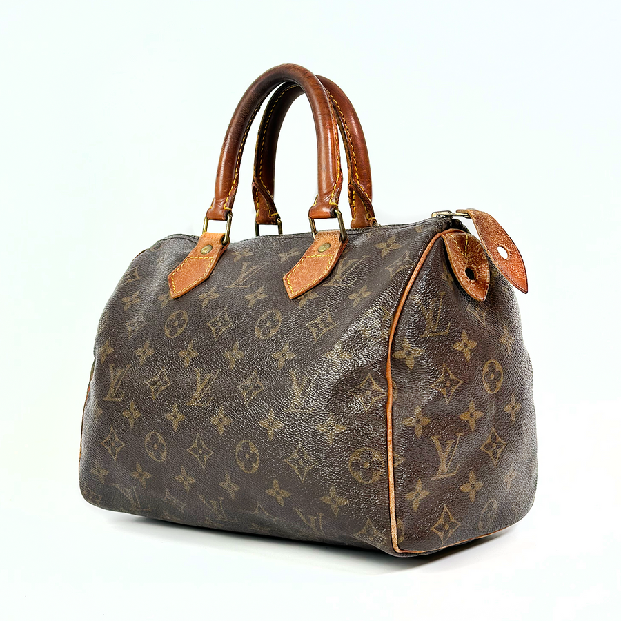 Louis Vuitton Speedy (25)