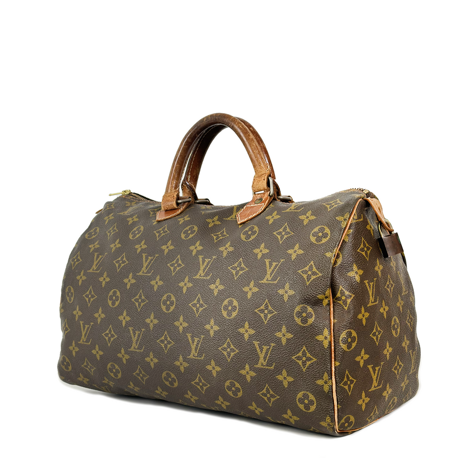 Louis Vuitton Speedy (30)