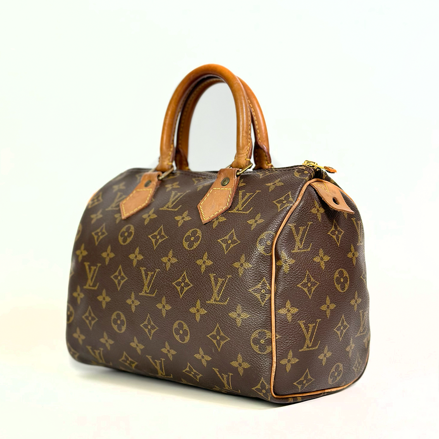 Louis Vuitton Speedy (25)