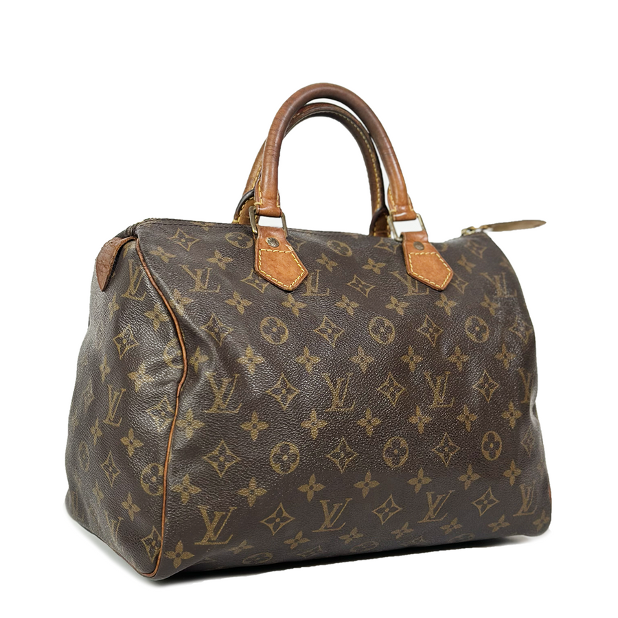 Louis Vuitton Speedy (30)