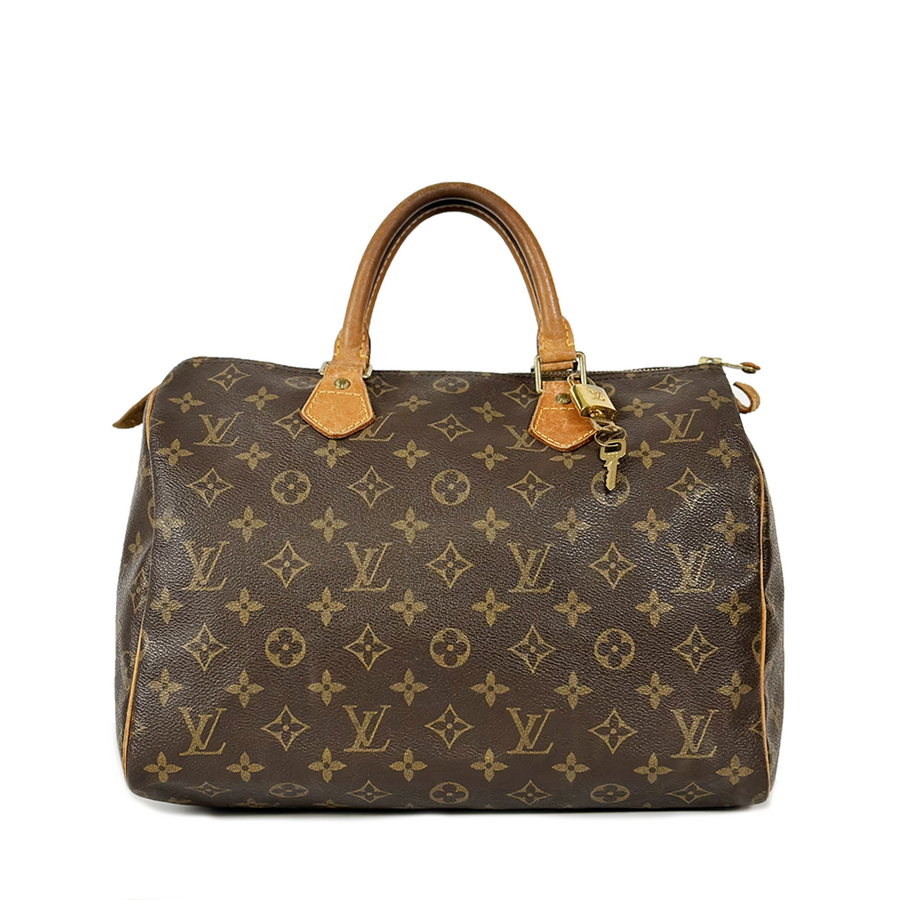 Louis Vuitton Speedy (30)