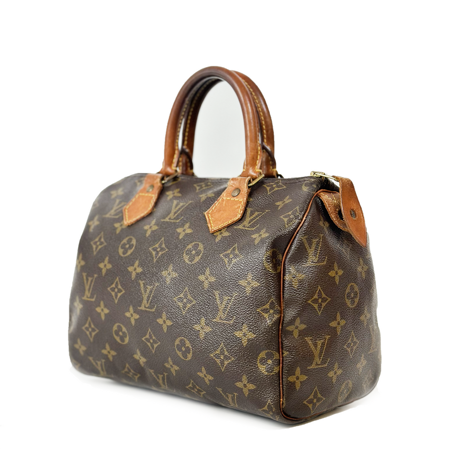 Louis Vuitton Speedy (25)