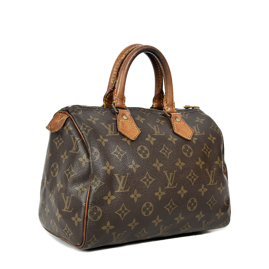 Louis Vuitton Speedy (25)