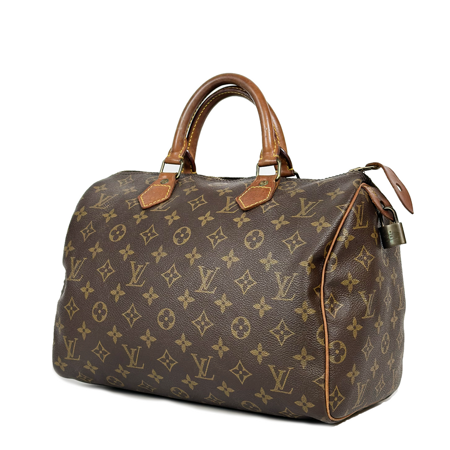 Louis Vuitton Speedy (30)