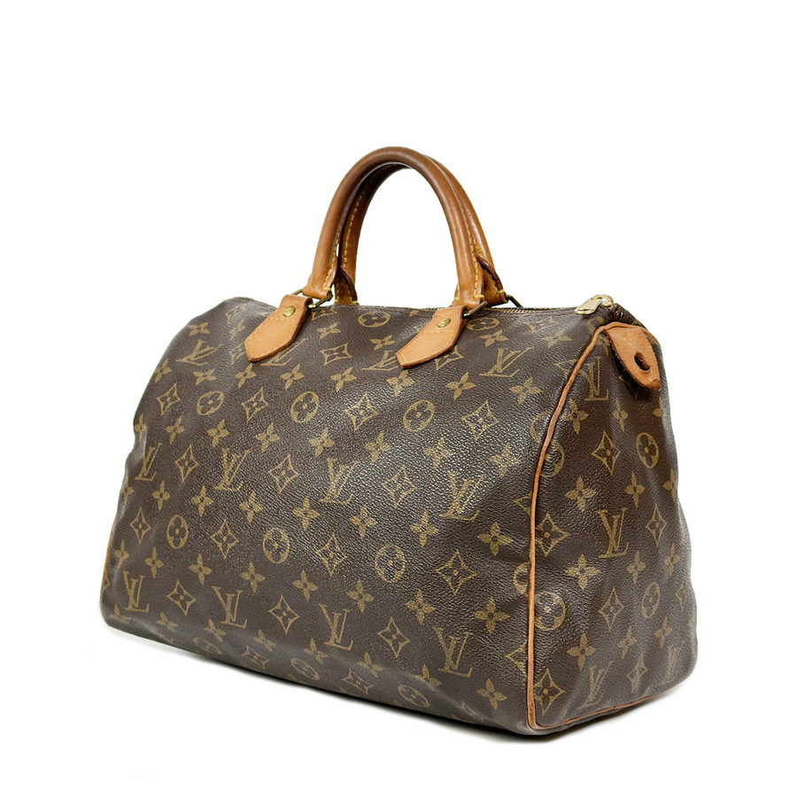 Louis Vuitton Speedy (30)