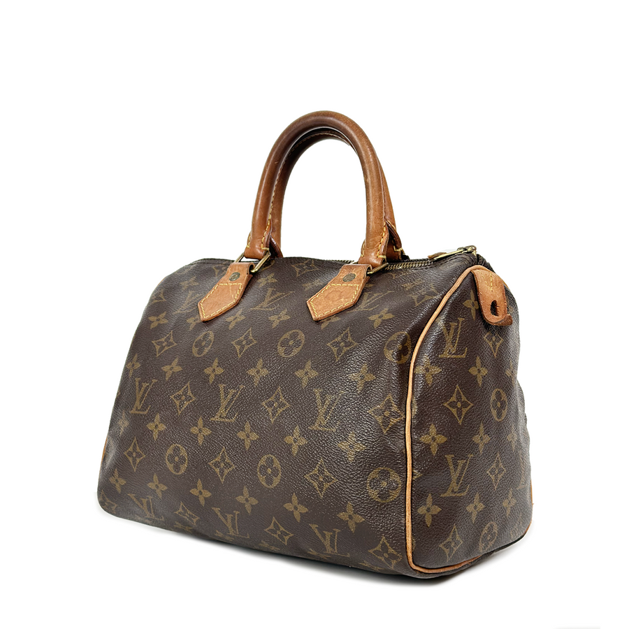 Louis Vuitton Speedy (25)