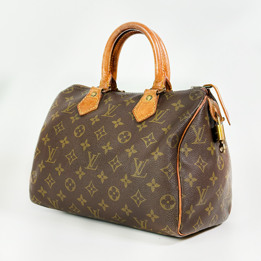 Louis Vuitton Speedy (25)