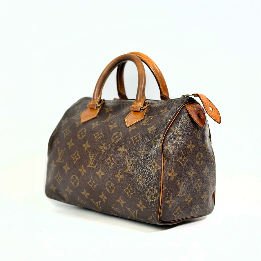 Louis Vuitton Speedy (25)