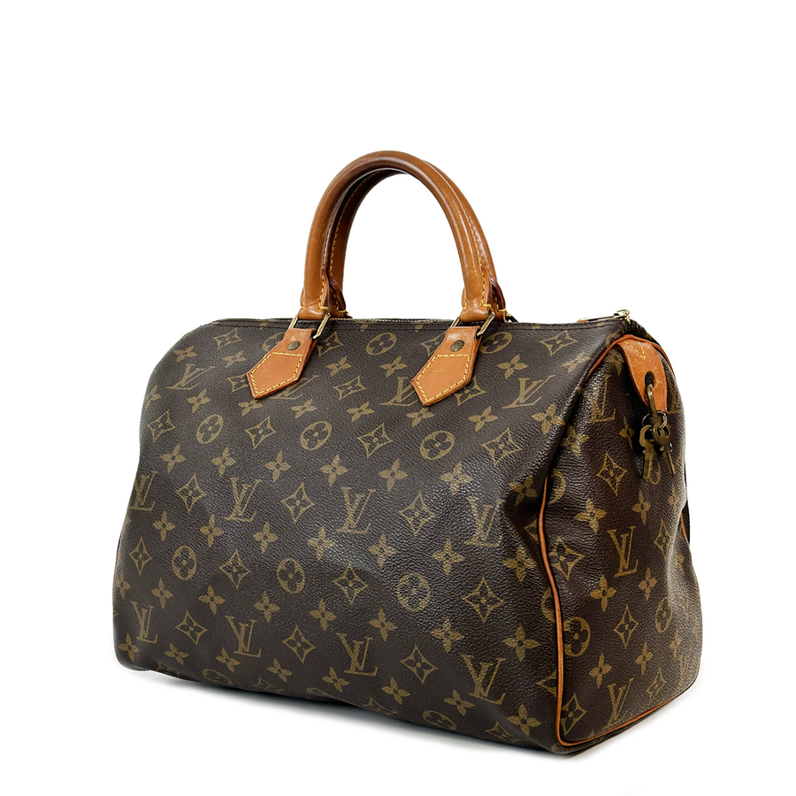 Louis Vuitton Speedy (30)