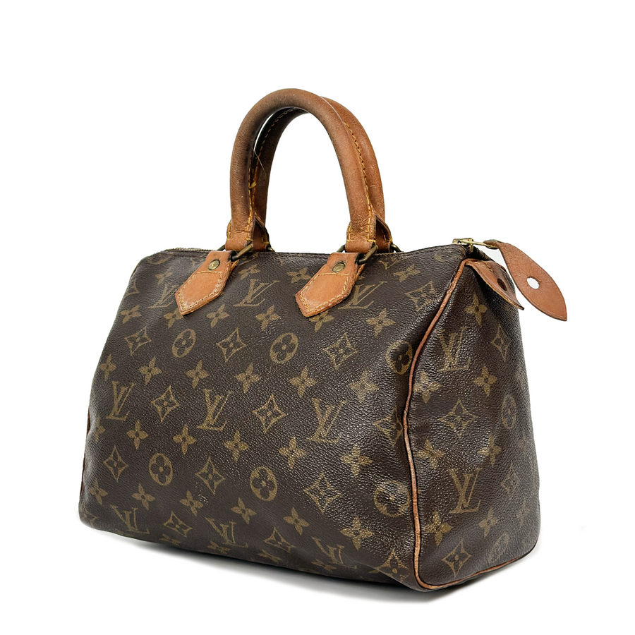 Louis Vuitton Speedy (25)