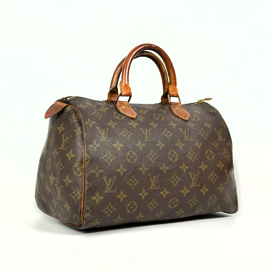 Louis Vuitton Speedy (30)