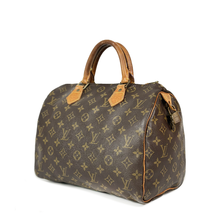 Louis Vuitton Speedy (30)