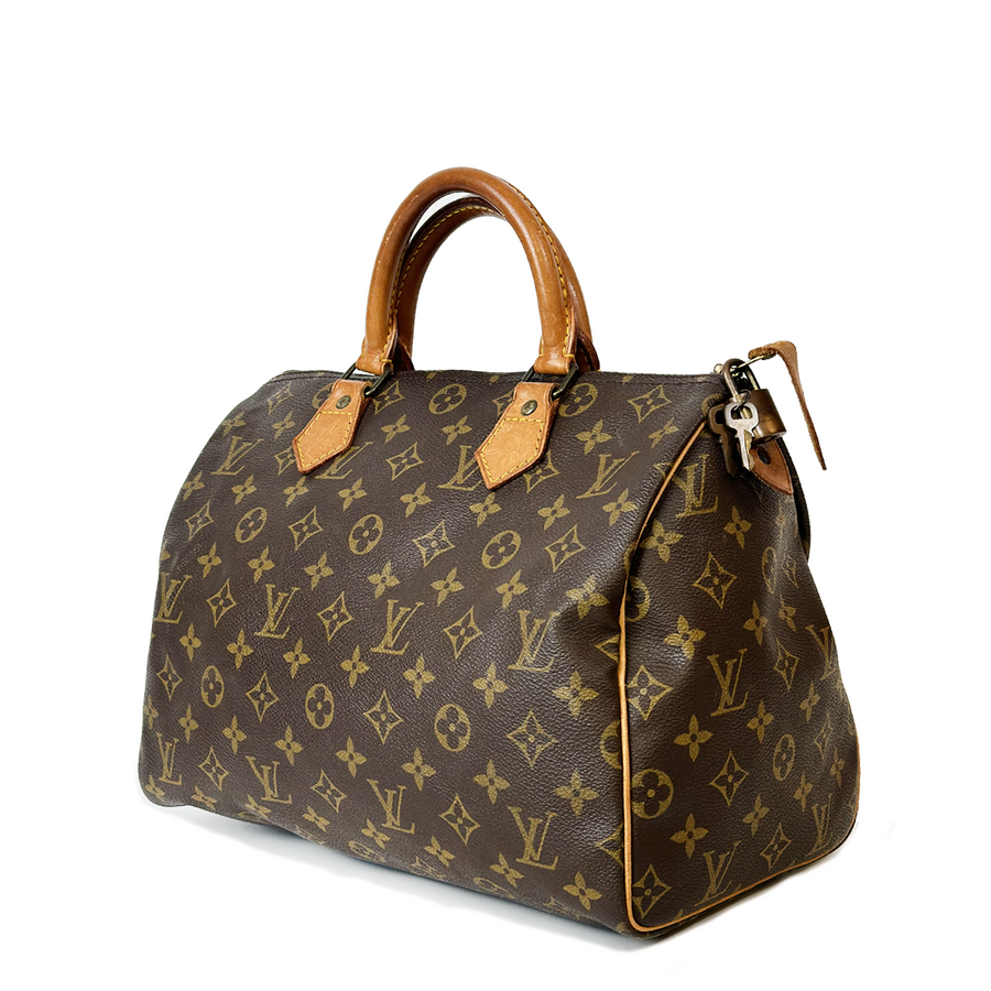 Louis Vuitton Speedy (30)