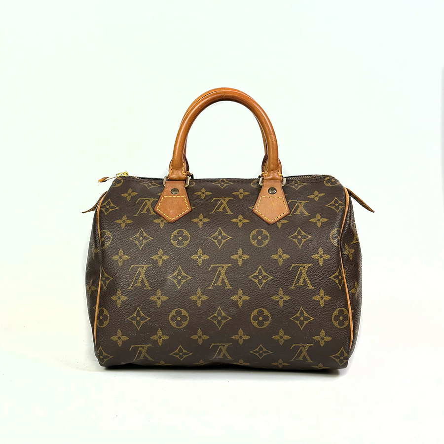 Louis Vuitton Speedy (25)