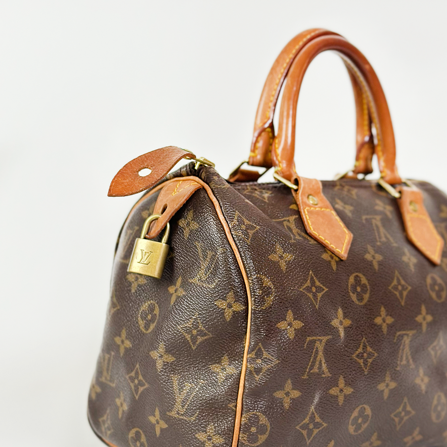 Louis Vuitton Speedy (25)