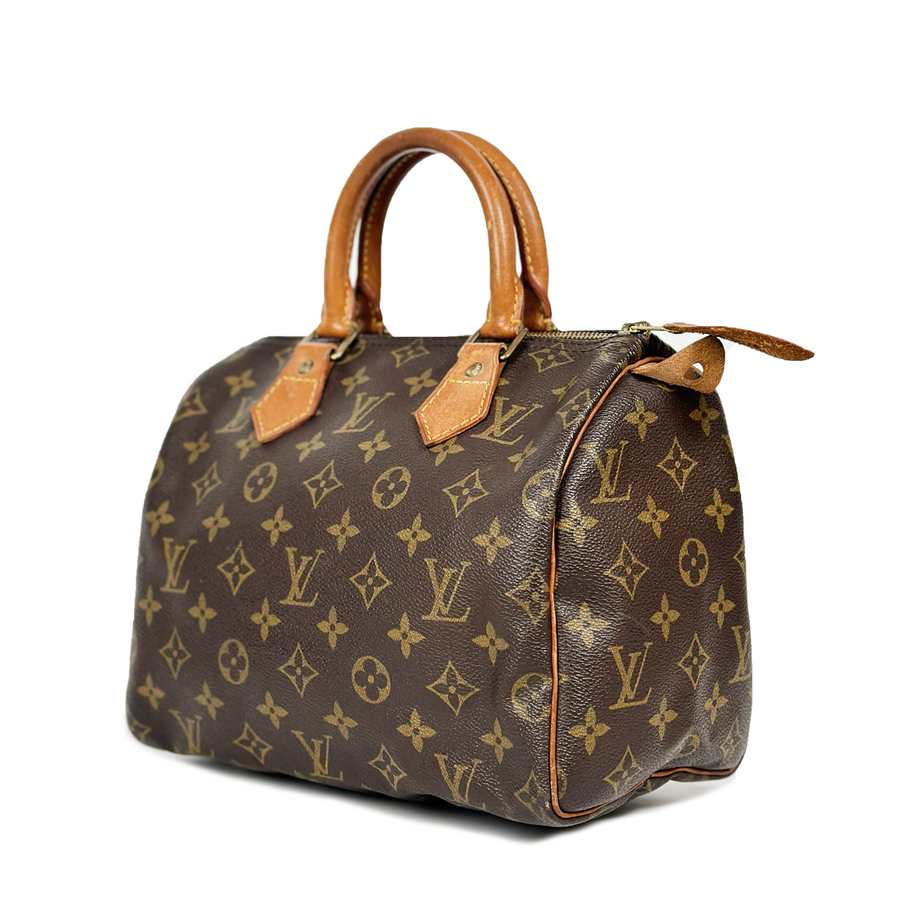 Louis Vuitton Speedy (25)