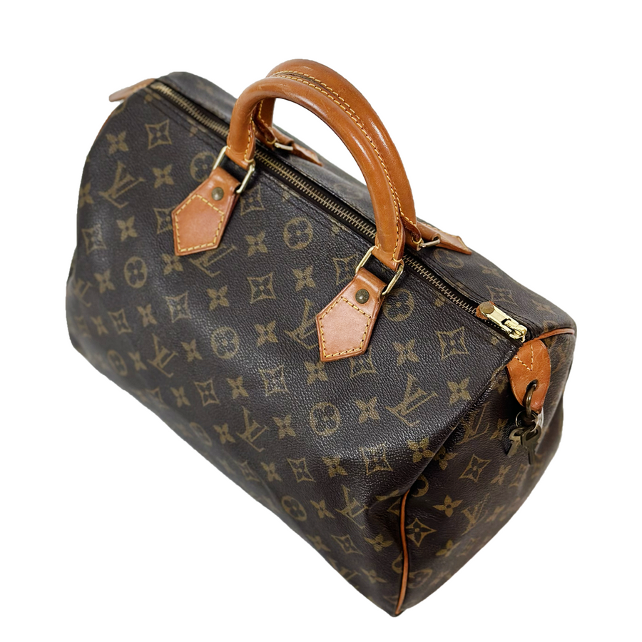 Louis Vuitton Speedy (30)