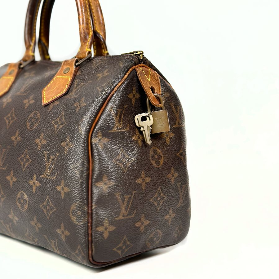 Louis Vuitton Speedy (25)