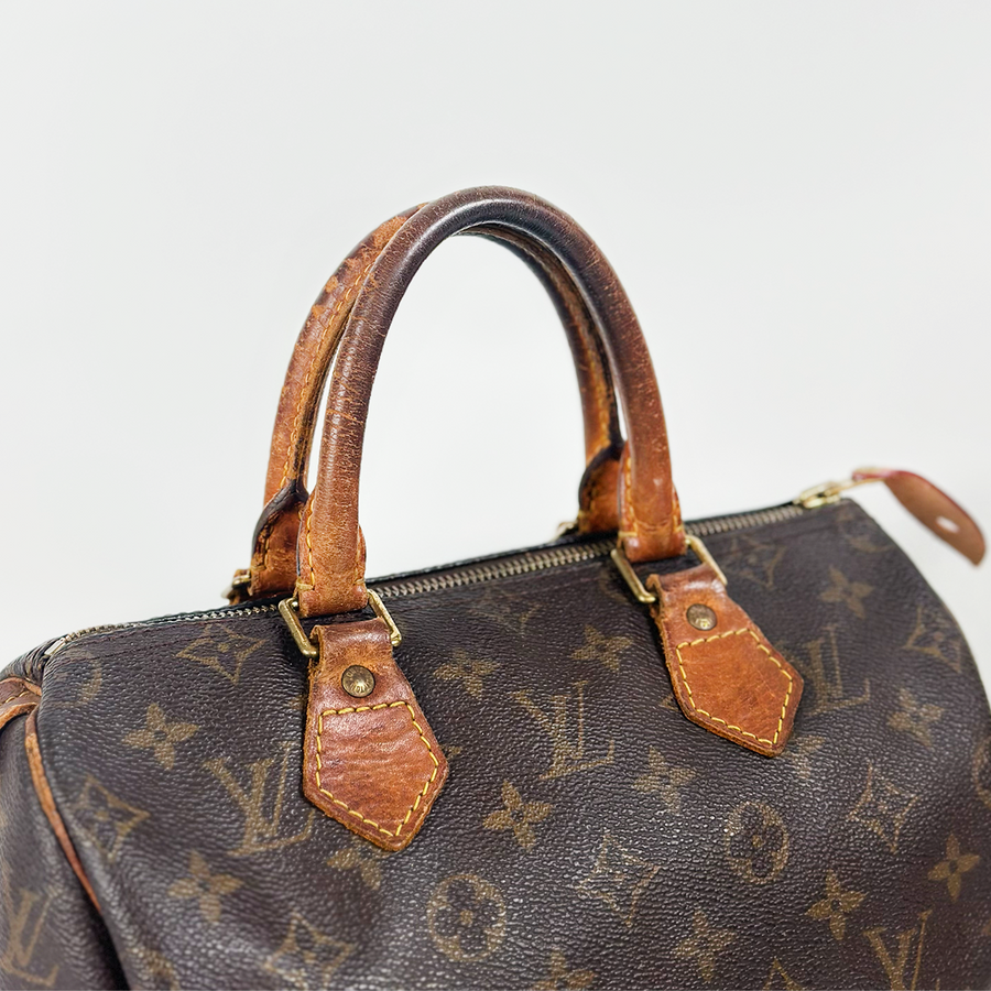 Louis Vuitton Speedy (25)