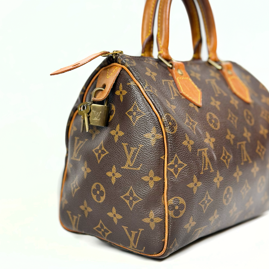 Louis Vuitton Speedy (25)