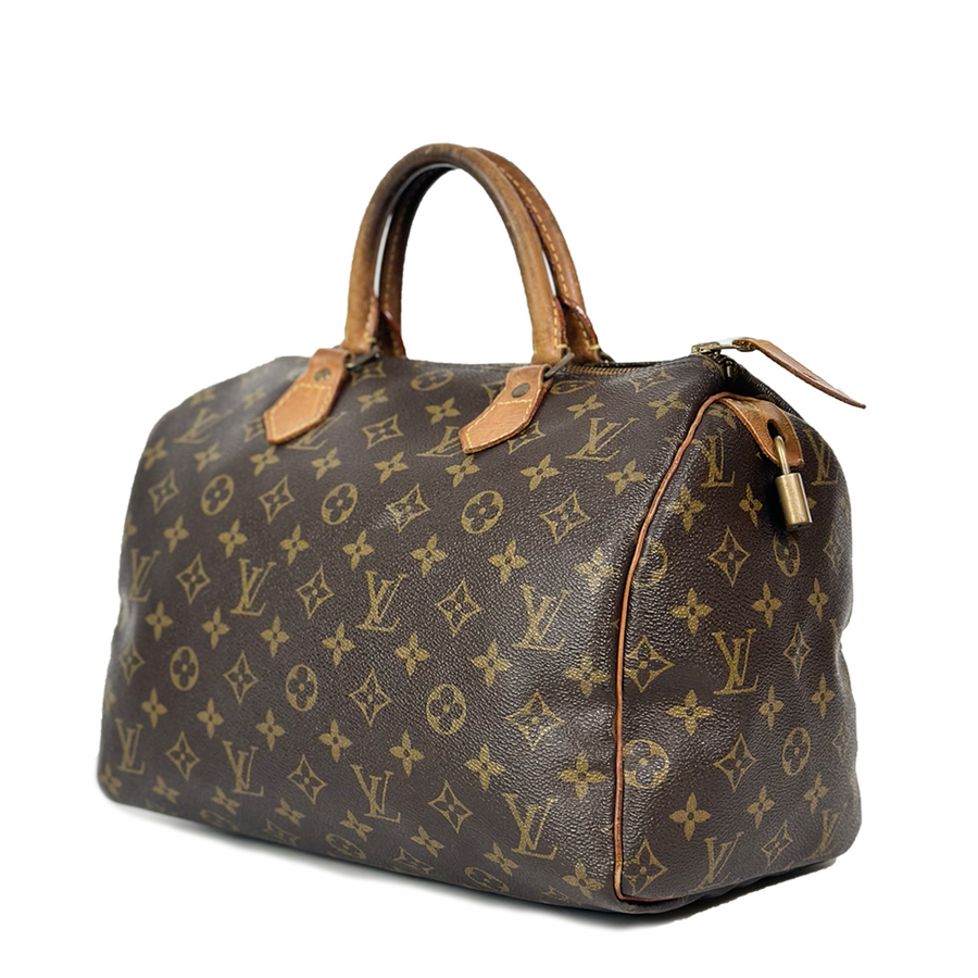 Louis Vuitton Speedy (30)