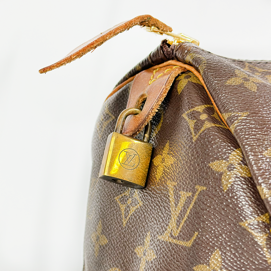 Louis Vuitton Speedy (30)