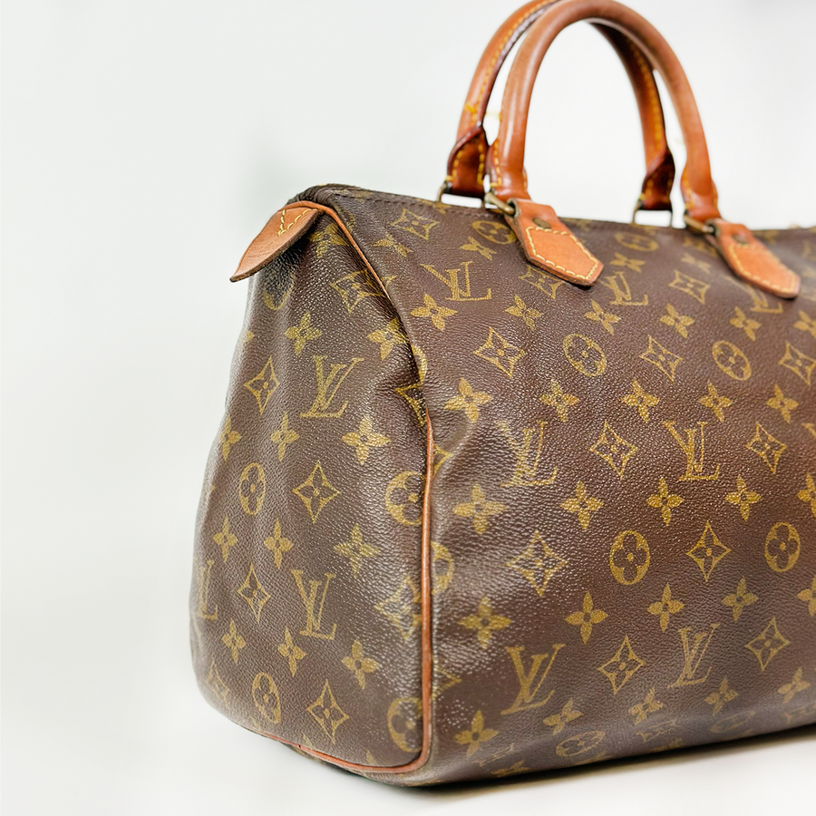 Louis Vuitton Speedy (30)