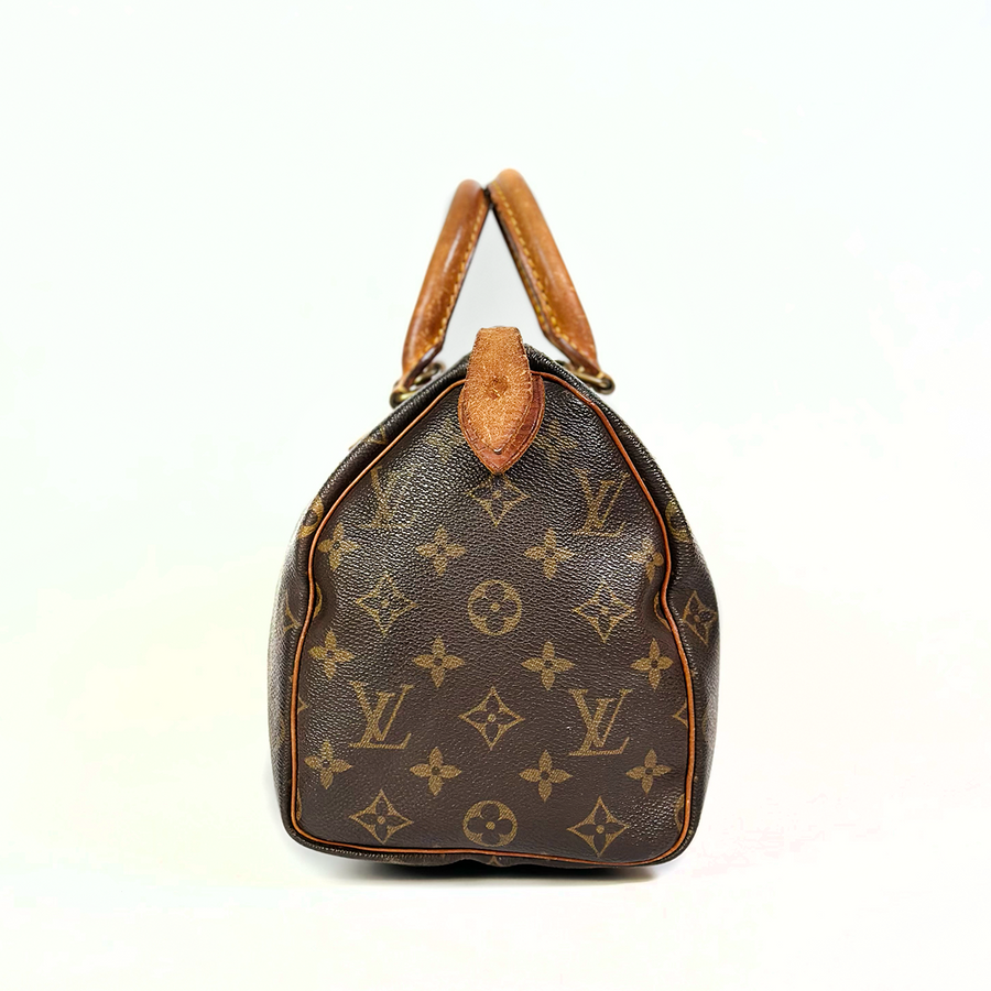 Louis Vuitton Speedy (25)