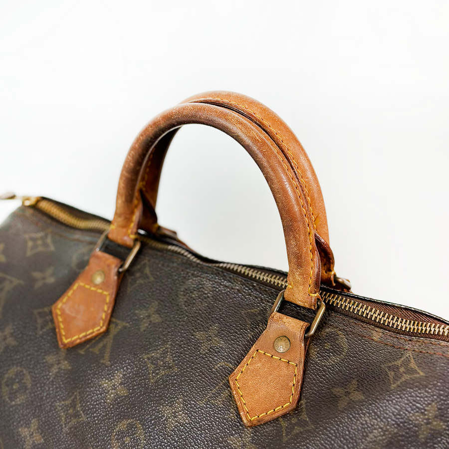 Louis Vuitton Speedy (30)