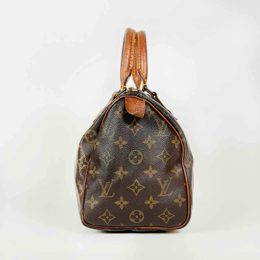 Louis Vuitton Speedy (25)